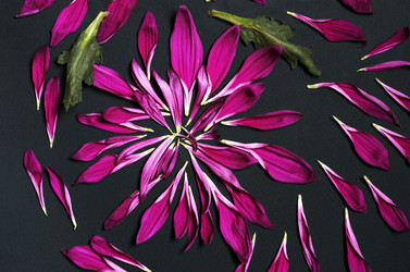 Similar image 11931565