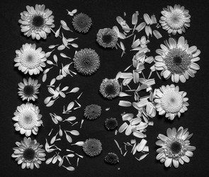 Similar image 11935957