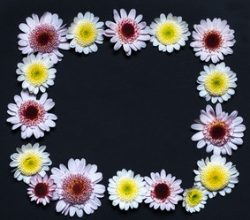 Similar image 11931567