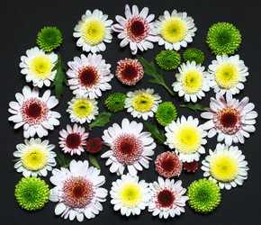 Similar image 11931568