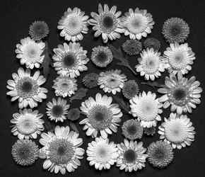 Similar image 11935958