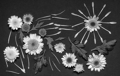 Similar image 11935959