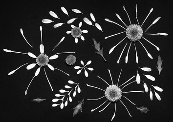 Similar image 11931569