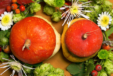 Similar image 11931570