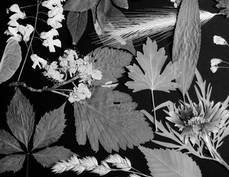 Similar image 11935510