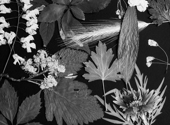 Similar image 11935511