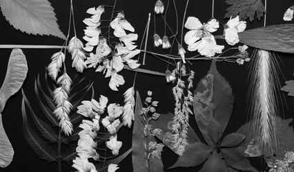 Similar image 11935512