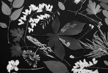 Similar image 11935513