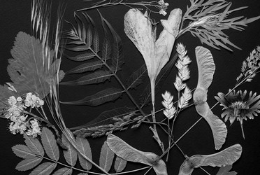 Similar image 11935532