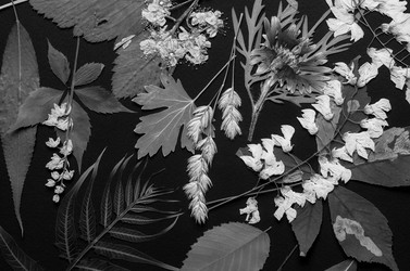 Similar image 11935533