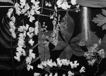 Similar image 11935534