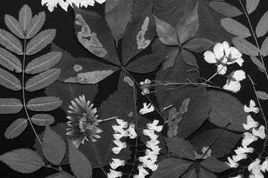 Similar image 11935535