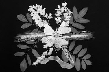 Similar image 11935536