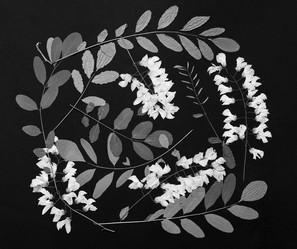 Similar image 11935537