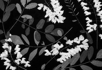 Similar image 11931573