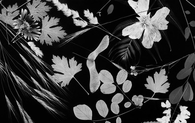 Similar image 11931574