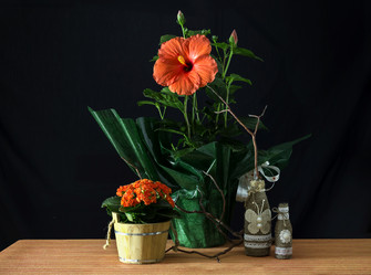 Similar image 11933320