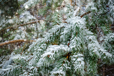 Similar image 11938813