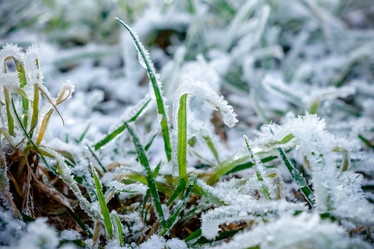 Similar image 11938816