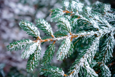 Similar image 11938817