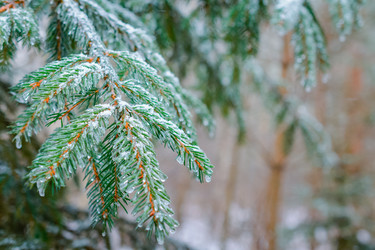 Similar image 11938818