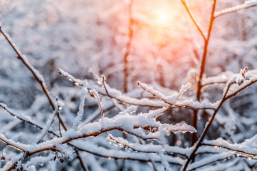 Similar image 11938824