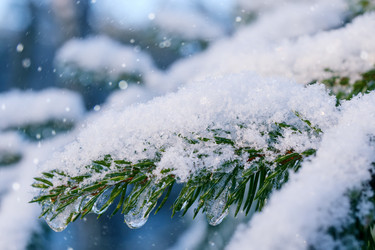 Similar image 11938836