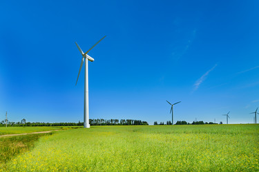 Similar image 11938849