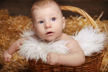 Similar image 11934484