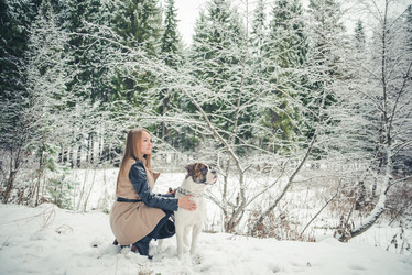 Similar image 11948184