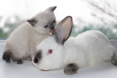 Similar image 11937598