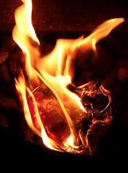 Similar image 11937600