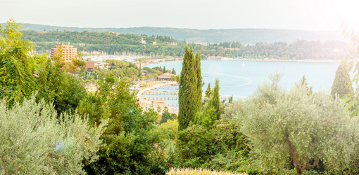 Similar image 11944960