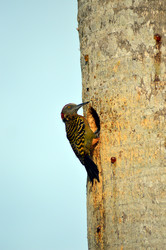 Similar image 11932683