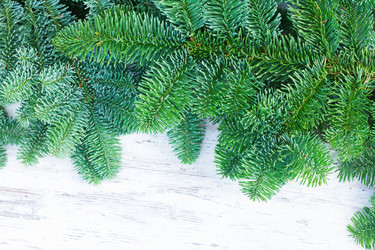 Similar image 11944506