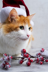 Similar image 11944366