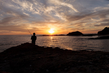 Similar image 11957917