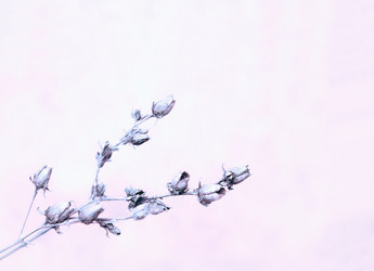 Similar image 11932702