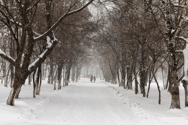 Similar image 11935333