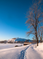 Similar image 11938746