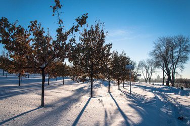 Similar image 11938749