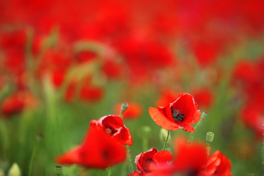 Similar image 11940326