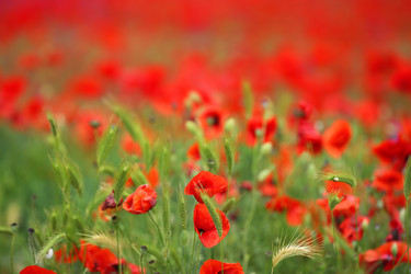 Similar image 11940327