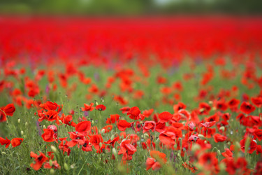 Similar image 11940328