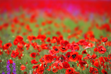 Similar image 11937125