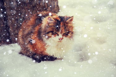 Similar image 11940202