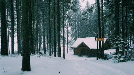 Similar image 11944735