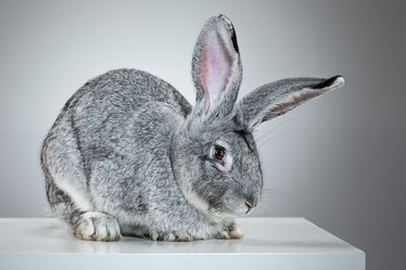 Similar image 11941632