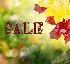 Similar image 11944424