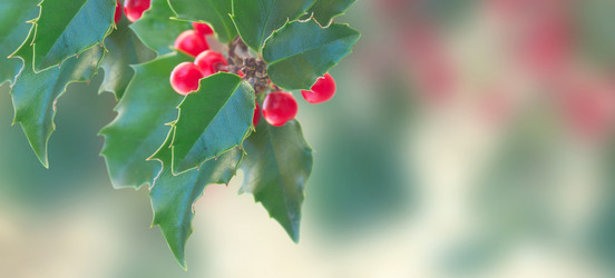 Similar image 11944467